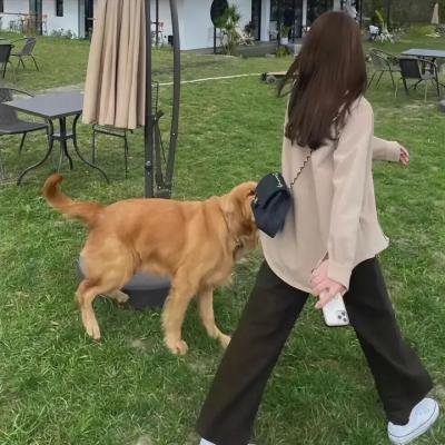 随时候命粤语